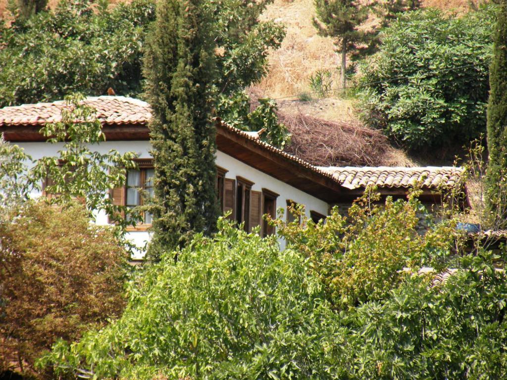 Terrace Houses Sirince Selçuk Chambre photo