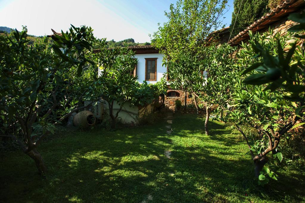 Terrace Houses Sirince Selçuk Extérieur photo