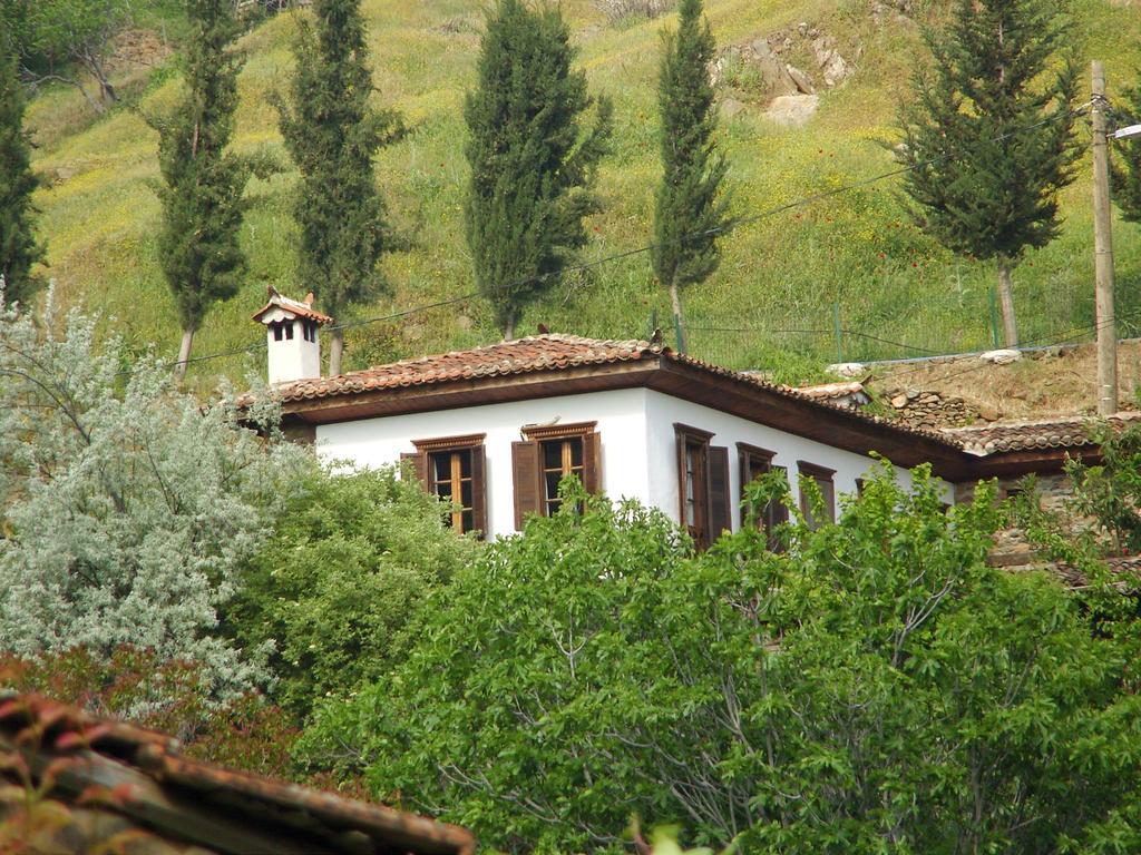 Terrace Houses Sirince Selçuk Extérieur photo