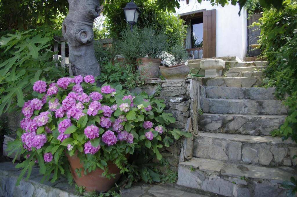 Terrace Houses Sirince Selçuk Chambre photo